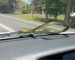 Snakes on a Car